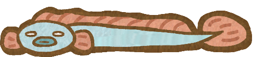 C_Eel_straight.png